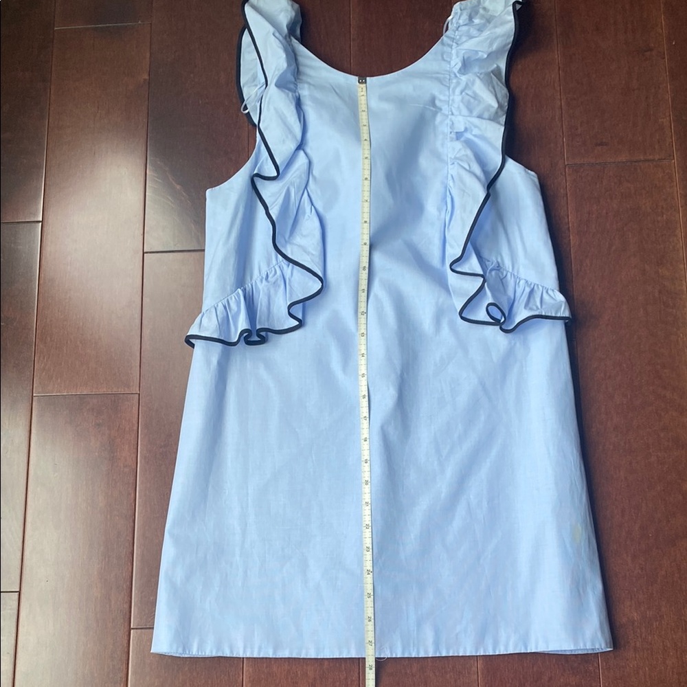 Zara Blue Ruffled Sheath Dress